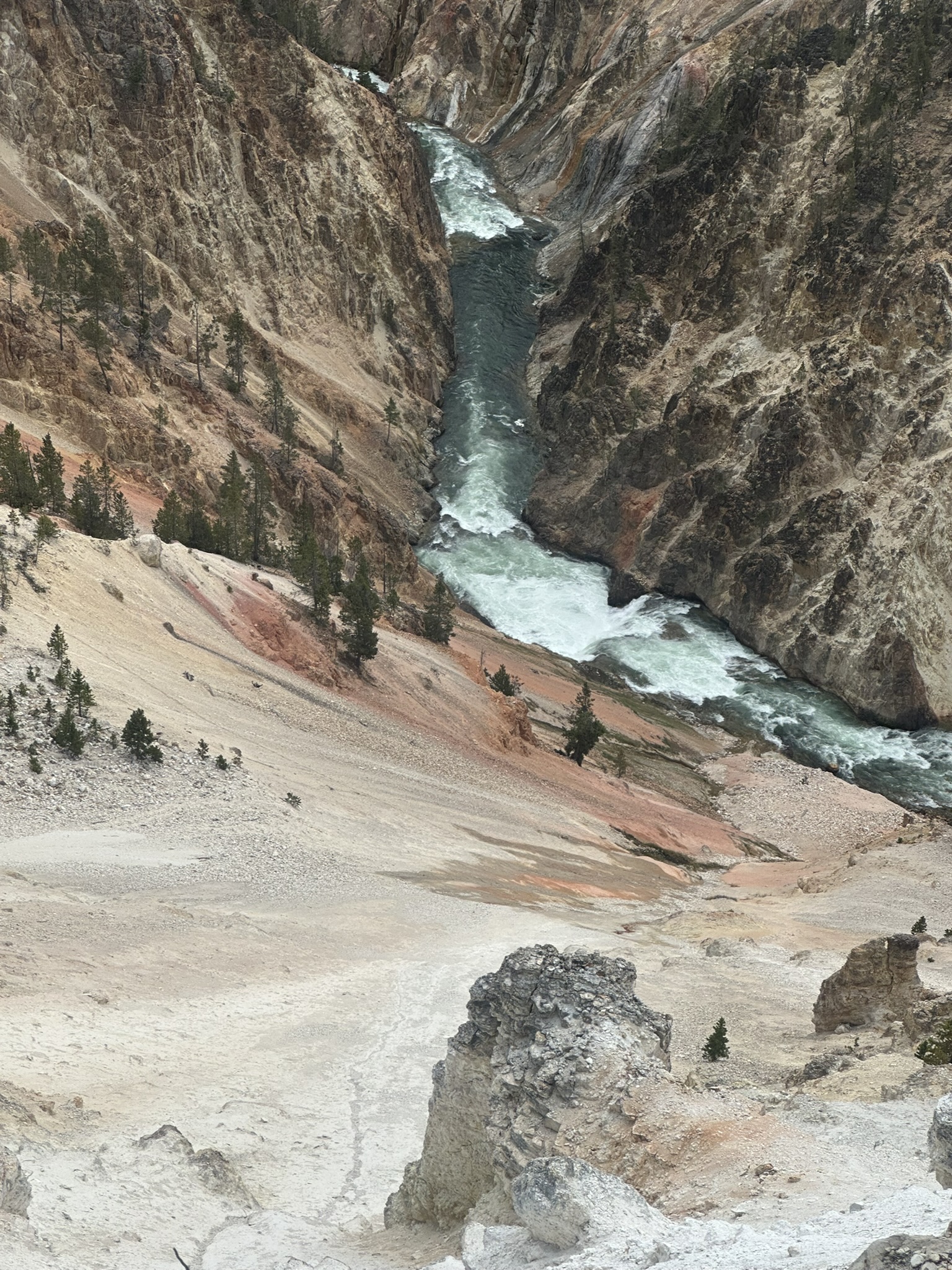Yellowstone And Grand Teton National Parks - Image 622